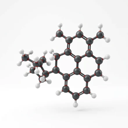 Molecular model of the CDP Choline compound
